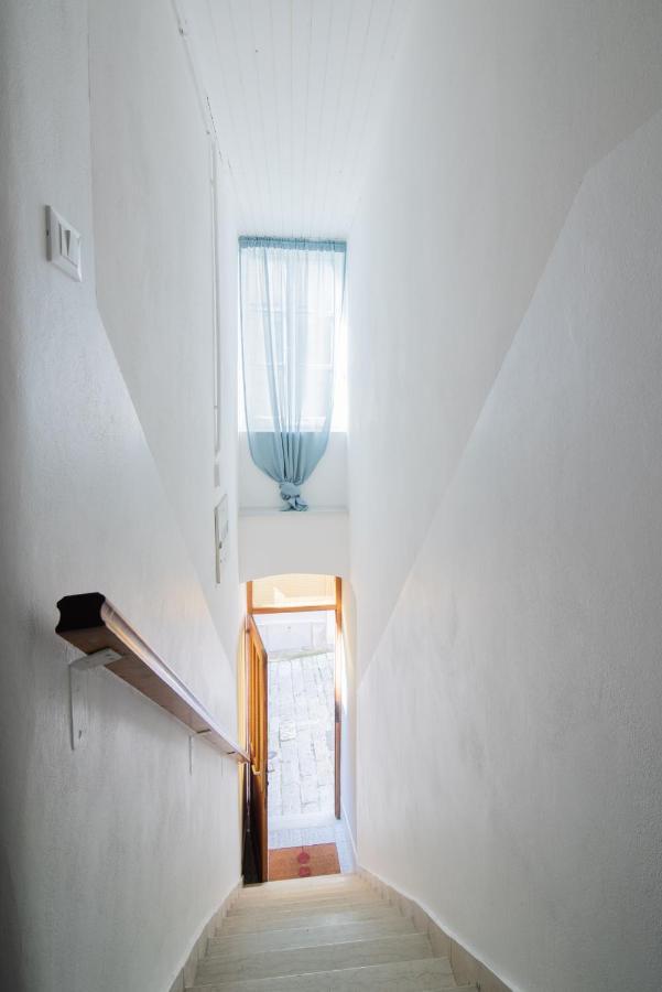 Ttapartmani Apartma